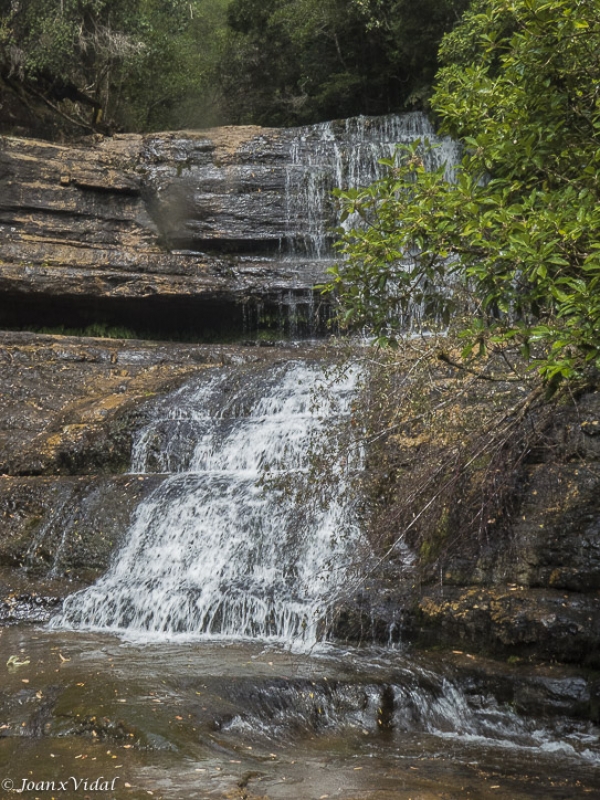 CASCADA LAKE DOBSON