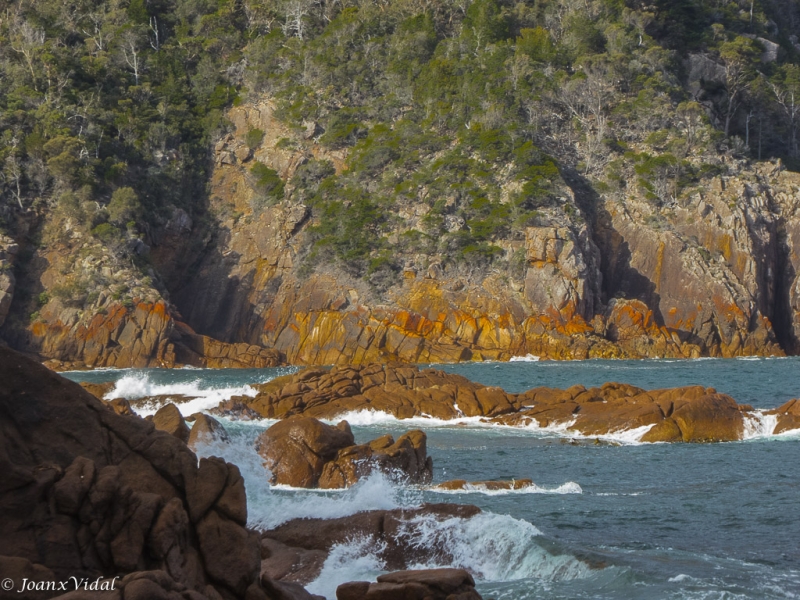 Costa de Freycinet