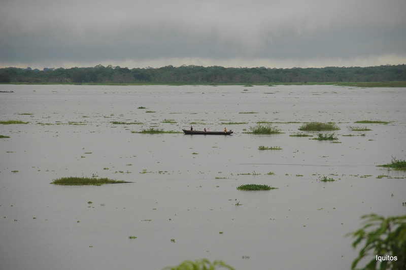 Amazonas