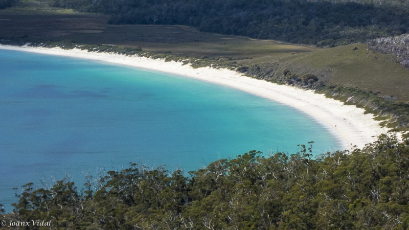 WINEGLASS BAY