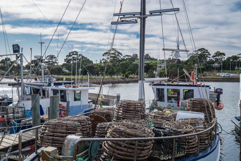 Barcas de pesca