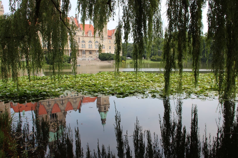 reflejos ayuntamiento