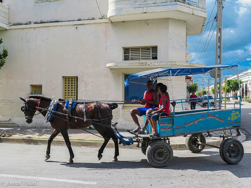 Transporte