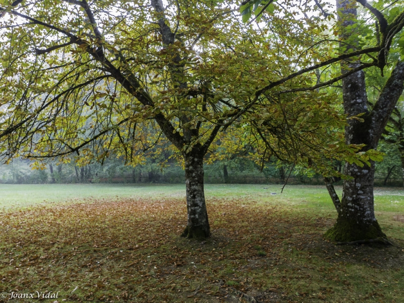 Jardin de Peyloubre