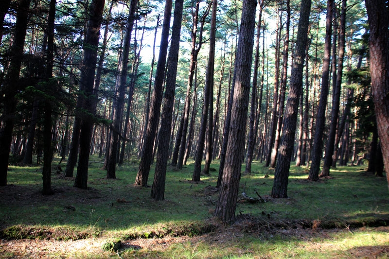 Parque nacional de Slowinski Polonia