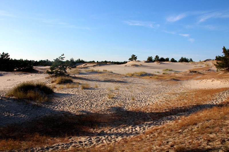 Parque nacional de Slowinski Dunas