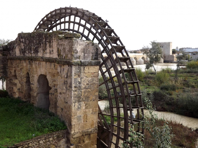 Progreso y naturaleza