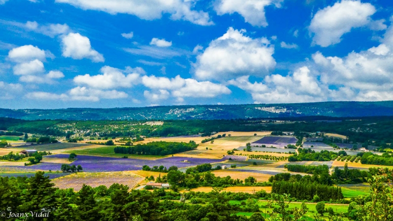 COLORS DE PROVENA