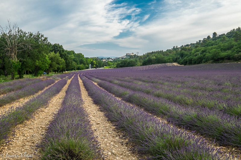 VALENSOLE