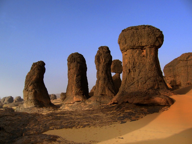 GUARDIANES DEL DESIERTO