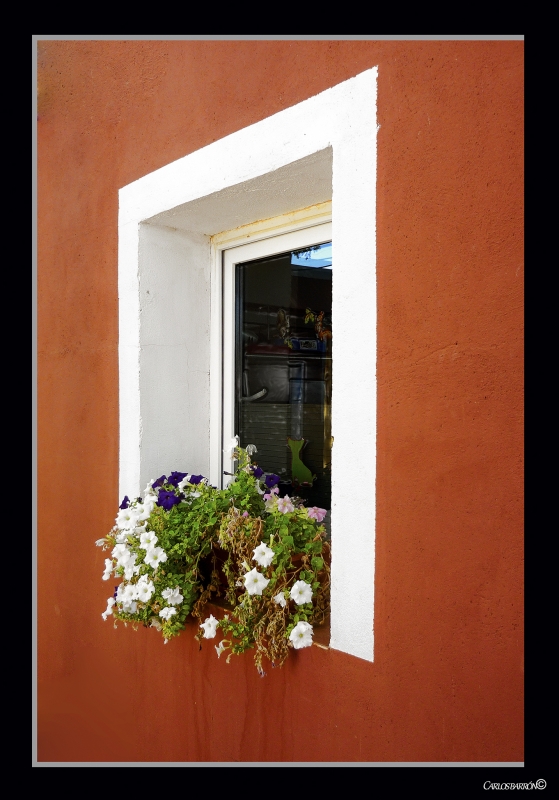 UNA VENTANA CON FLORES