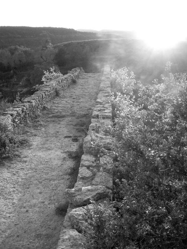 Puente hacia la luz