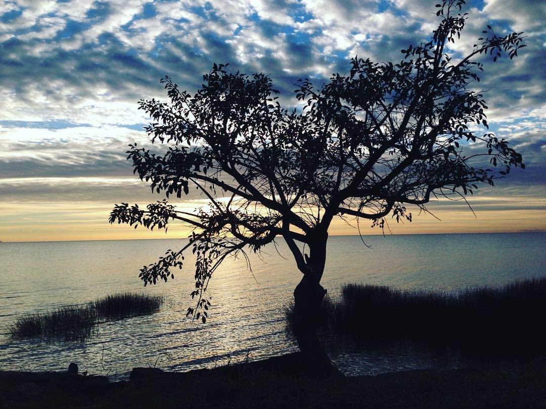 Amanece en el ro