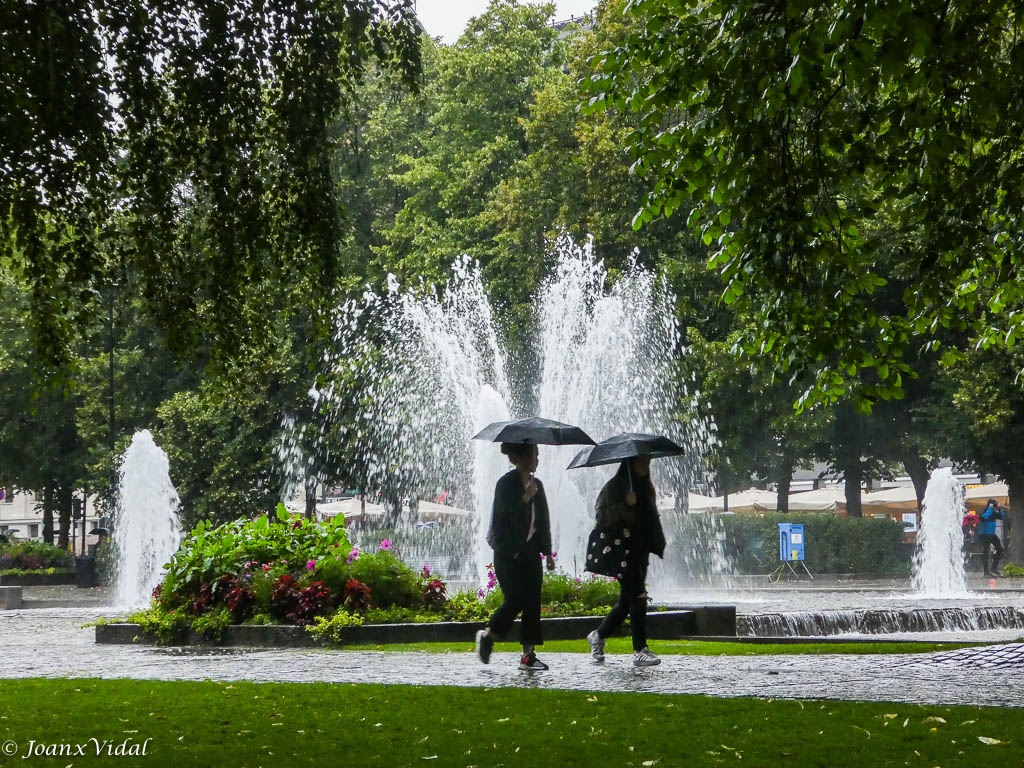 Bajo la lluvia