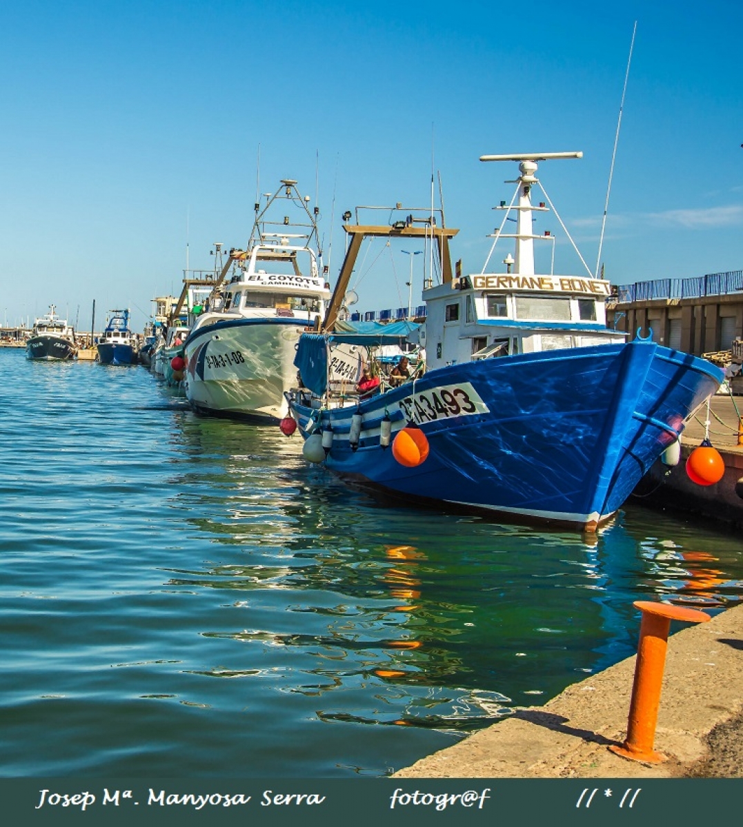 El port de Cambrils A