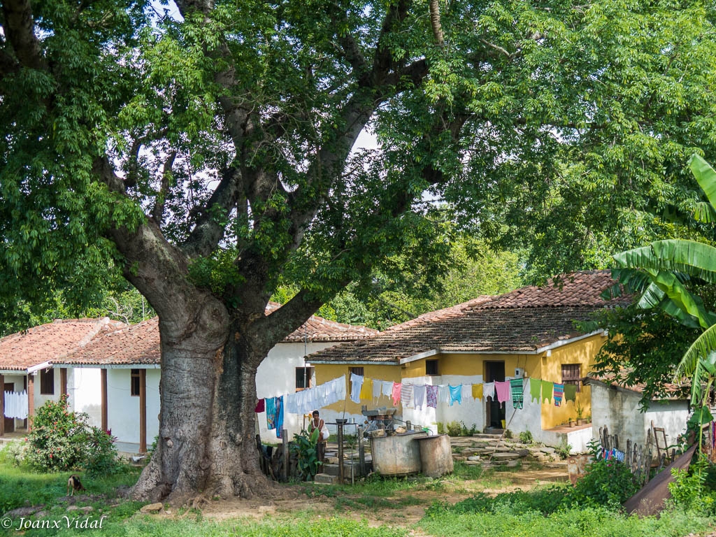 VALLE DE LOS INGENIOS