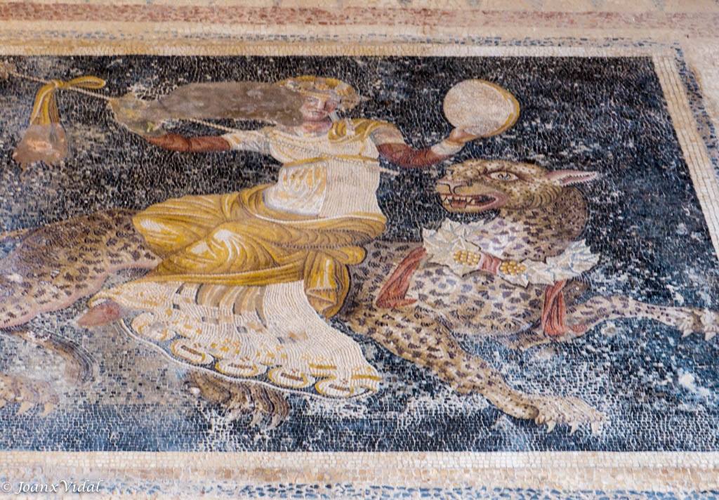 Mosaico mitolgico