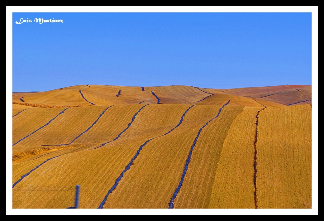 Mar de castilla