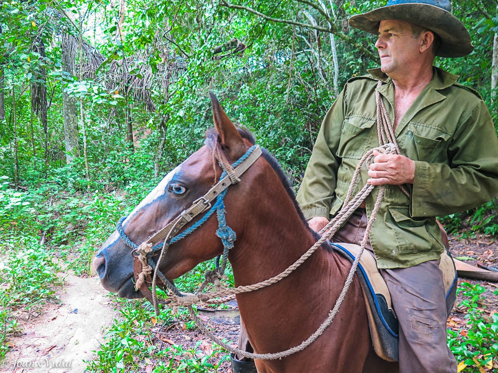 Cultivador de tabaco