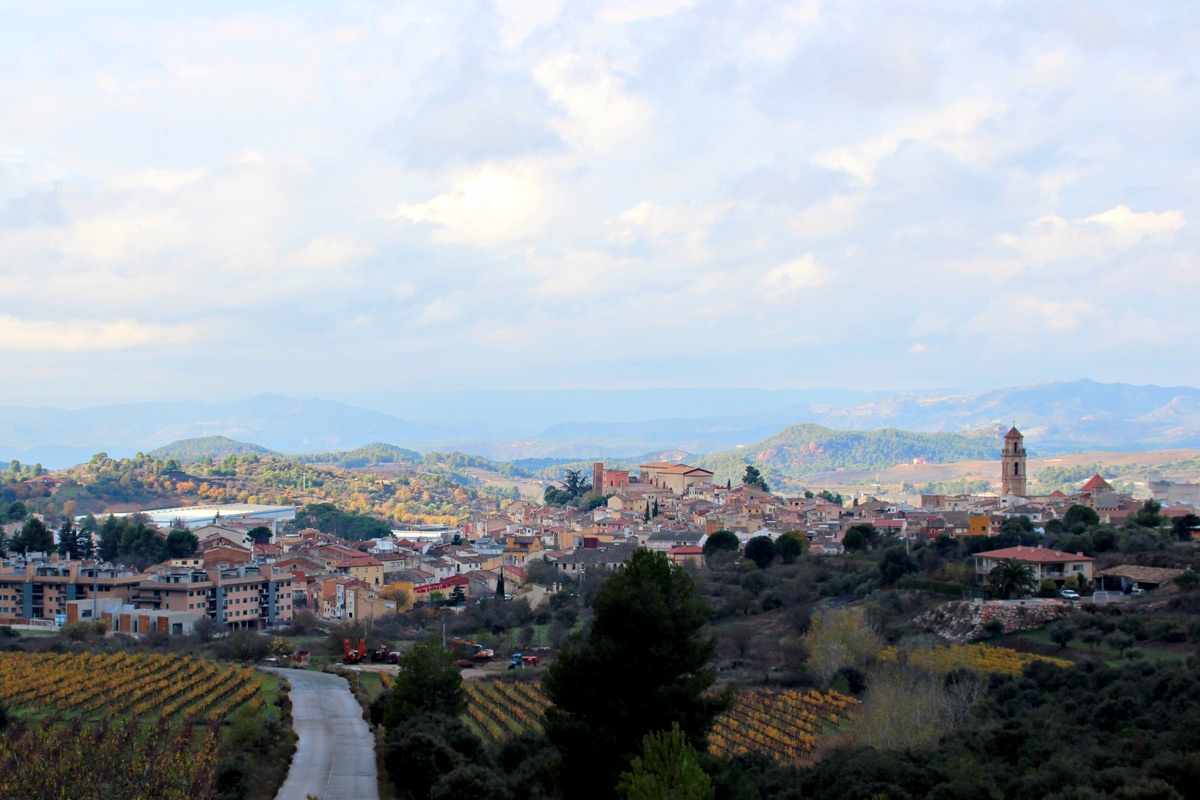 Falset , la capital del vino