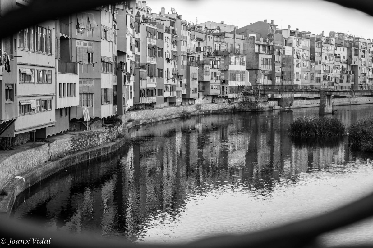 GIRONA GRISA I NEGRE