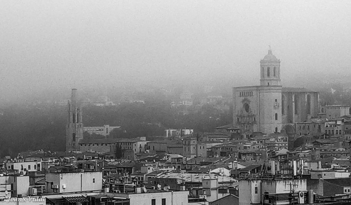 GIRONA GRIS I NEGRE