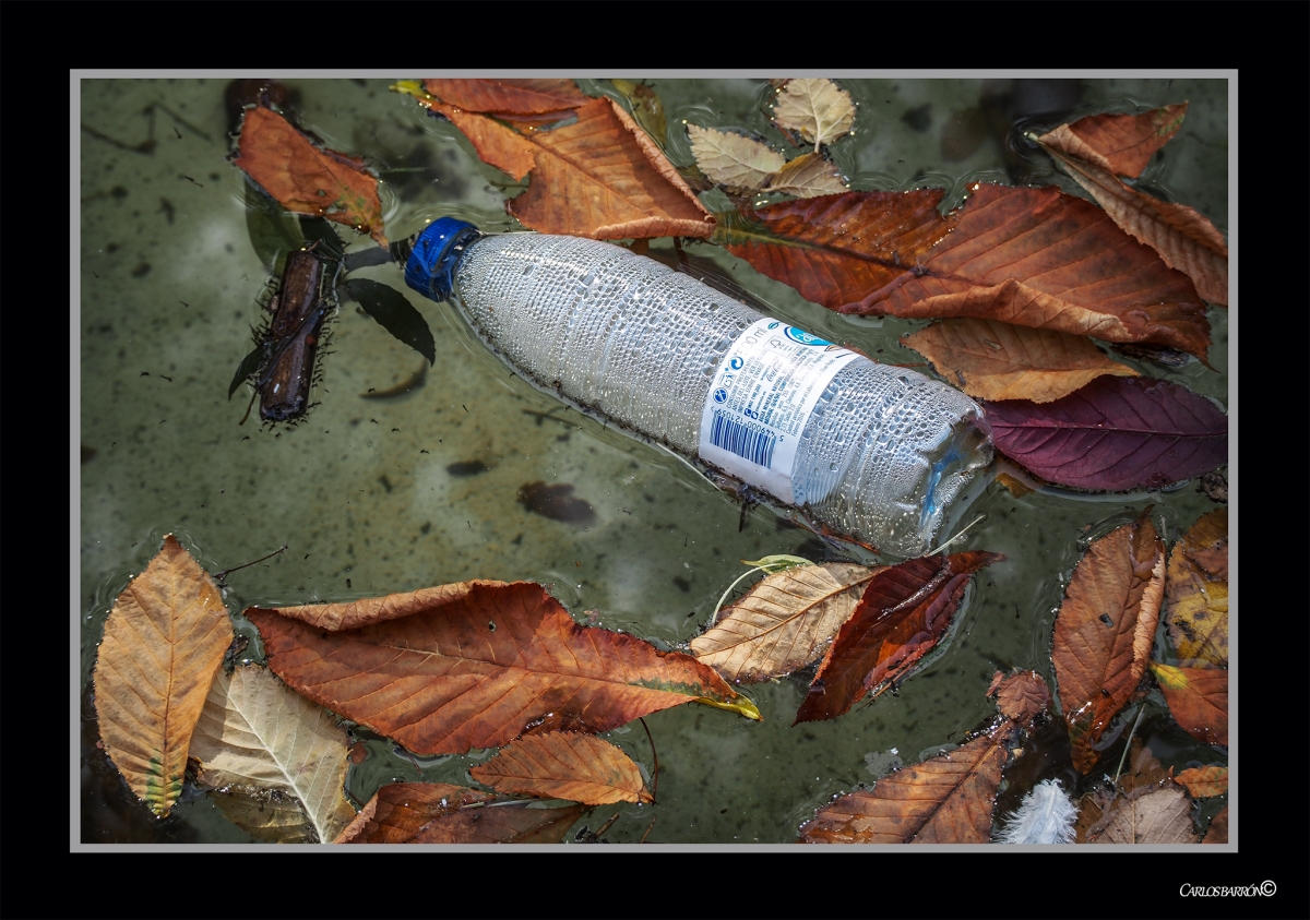 LA CADA DE LA HOJA Y DE LA BOTELLA