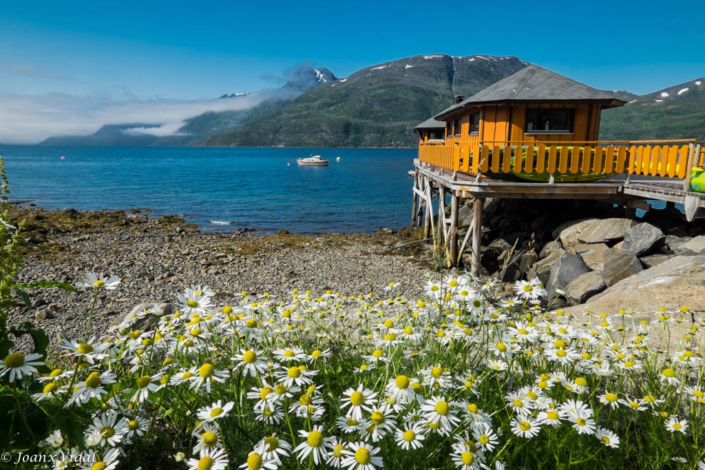 FIORDO JOKELFJORDEN