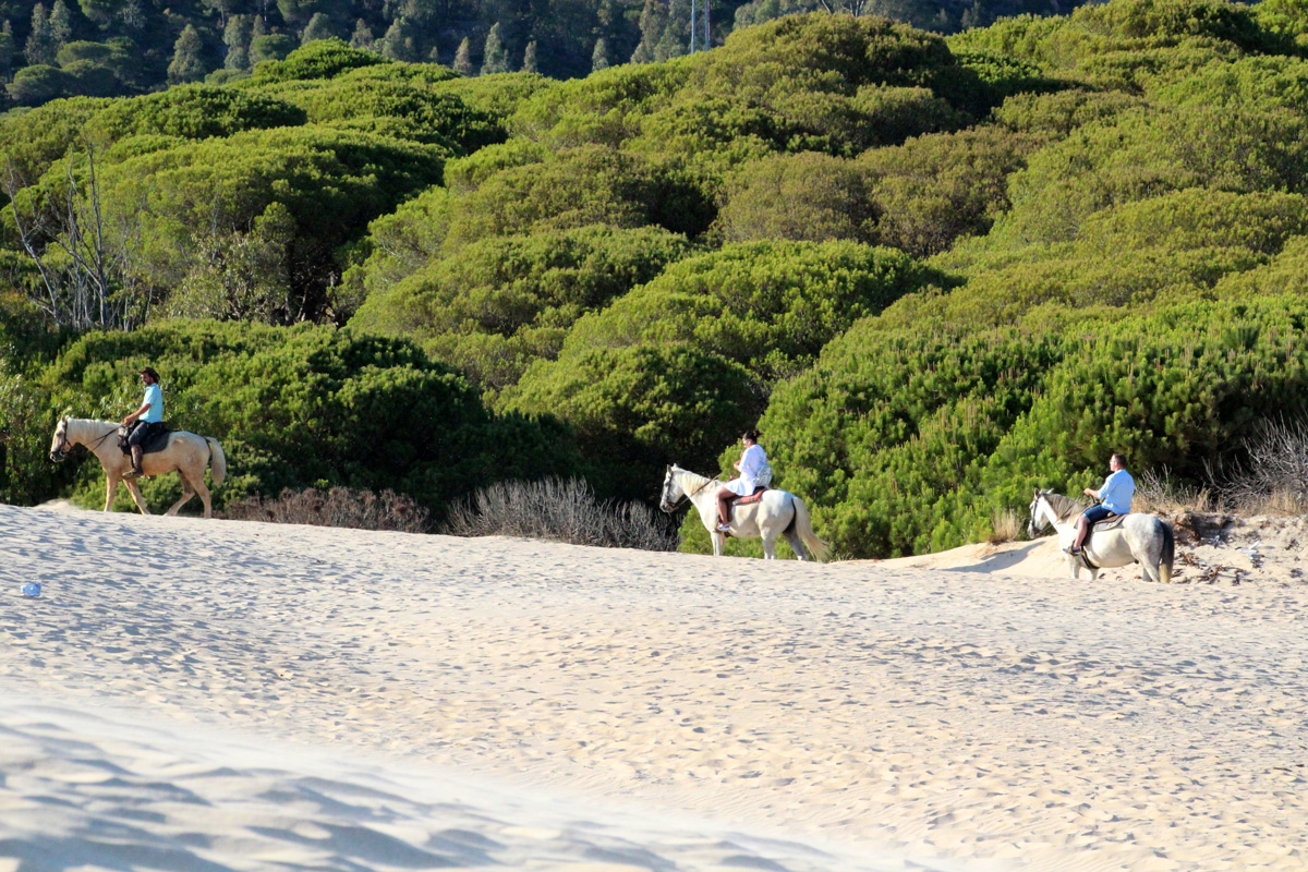 Dunas de Bolonia a caballo