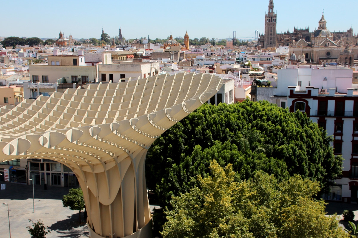 Setas de sevilla y Giralda