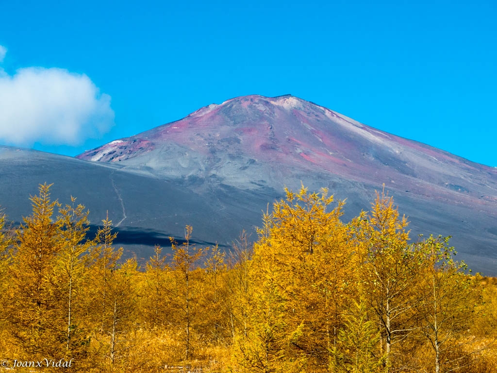 El Fuji a la vista