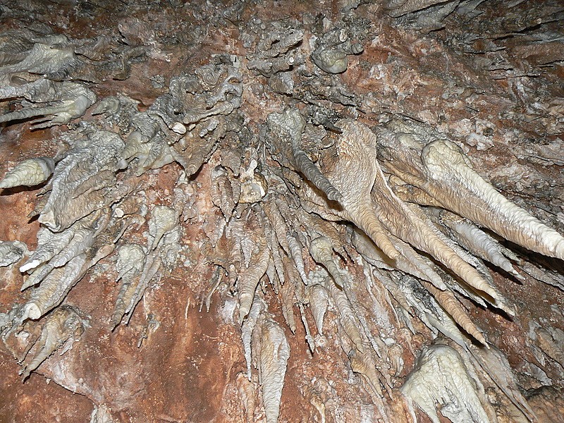 los dientes de la cueva