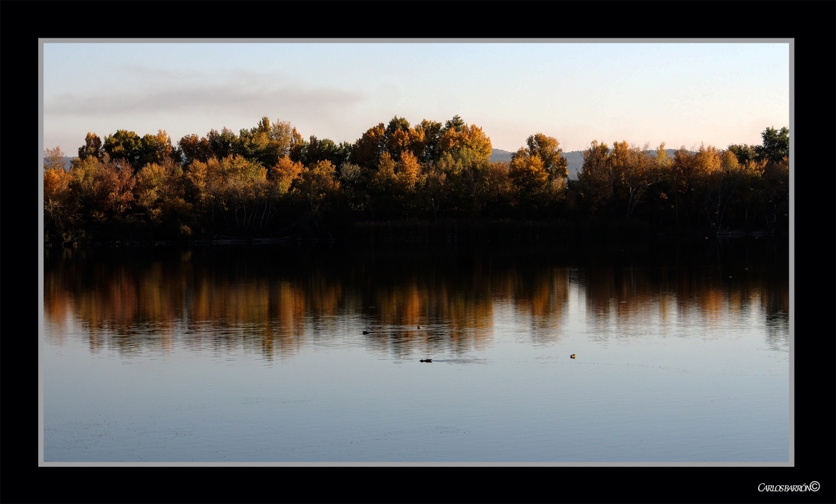 REFLEJOS DE OTOO 