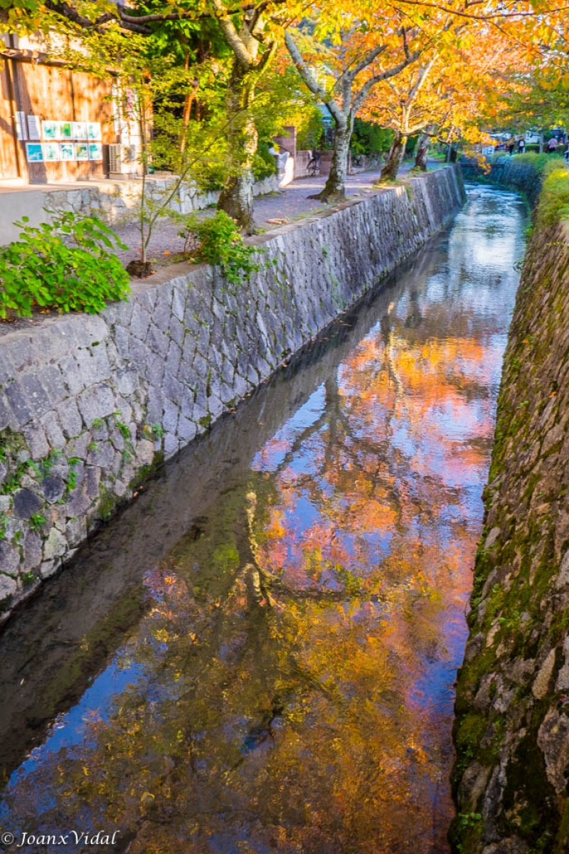 Reflejos otoales