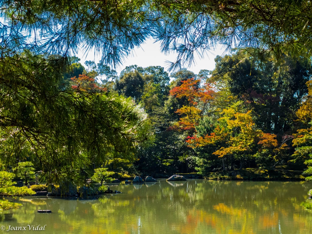 Jardines Templo Ginkaku-ji