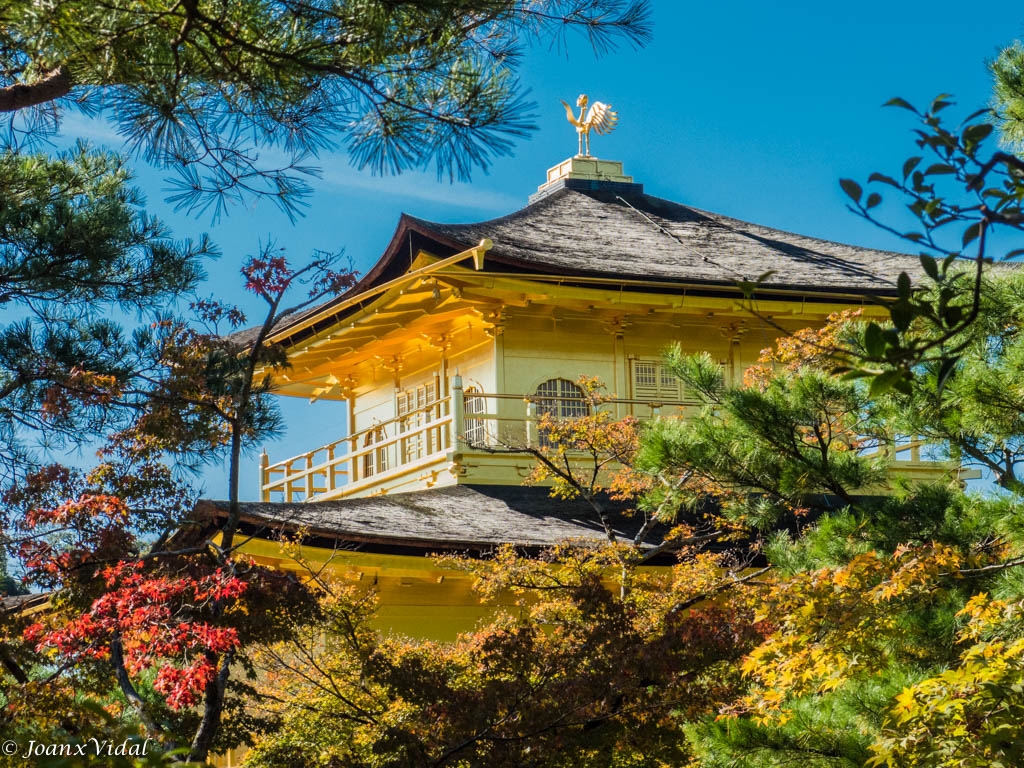 Tejado templo Ginkaku-ji