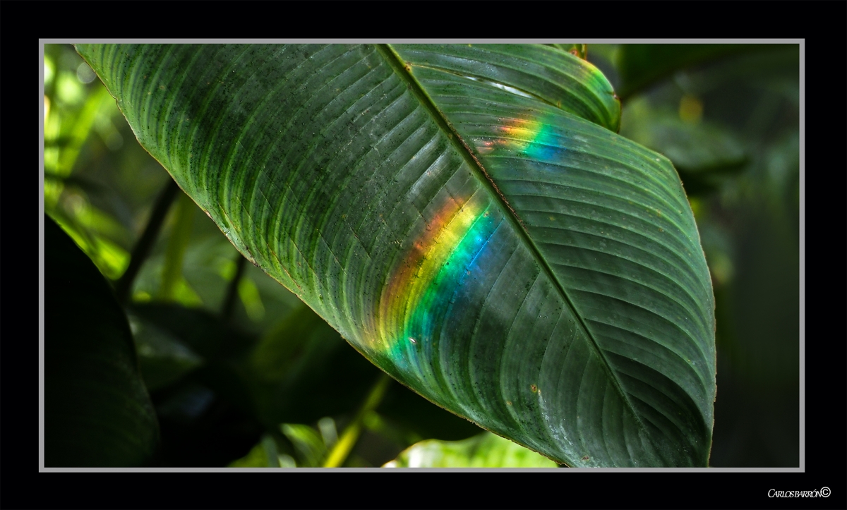 UN ARCOIRIS SLO PARA M