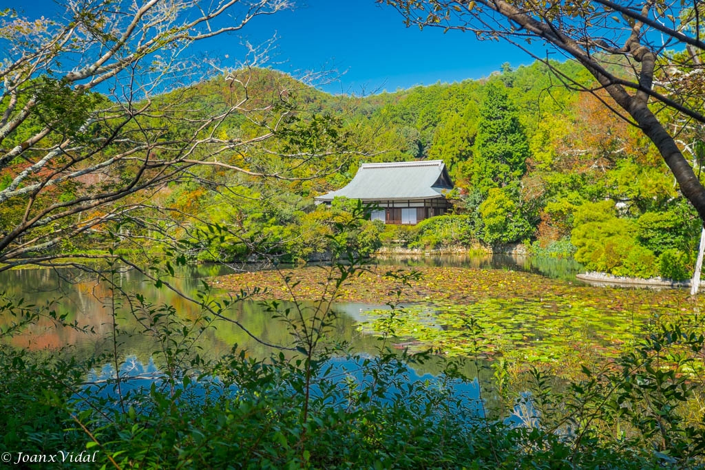 RYOANJI TEMPLE