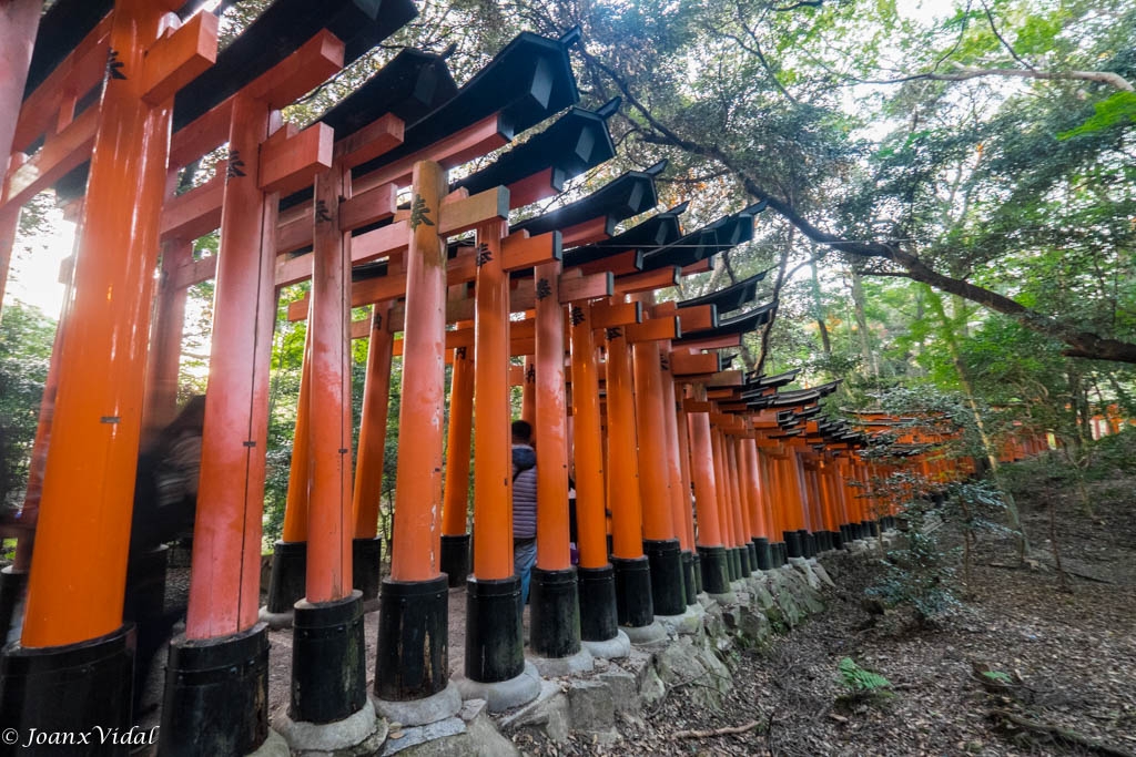 Camino de Inari