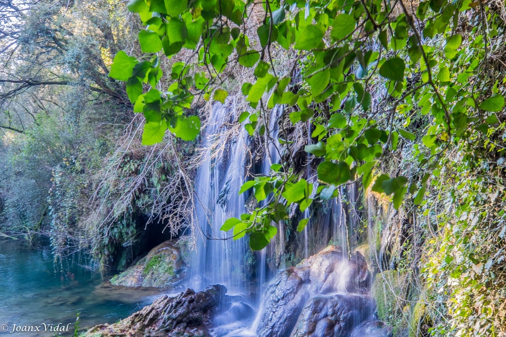 SALT DEL MOL DELS MURRIS