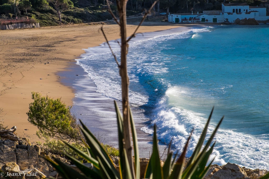 PLATJA CASTELL