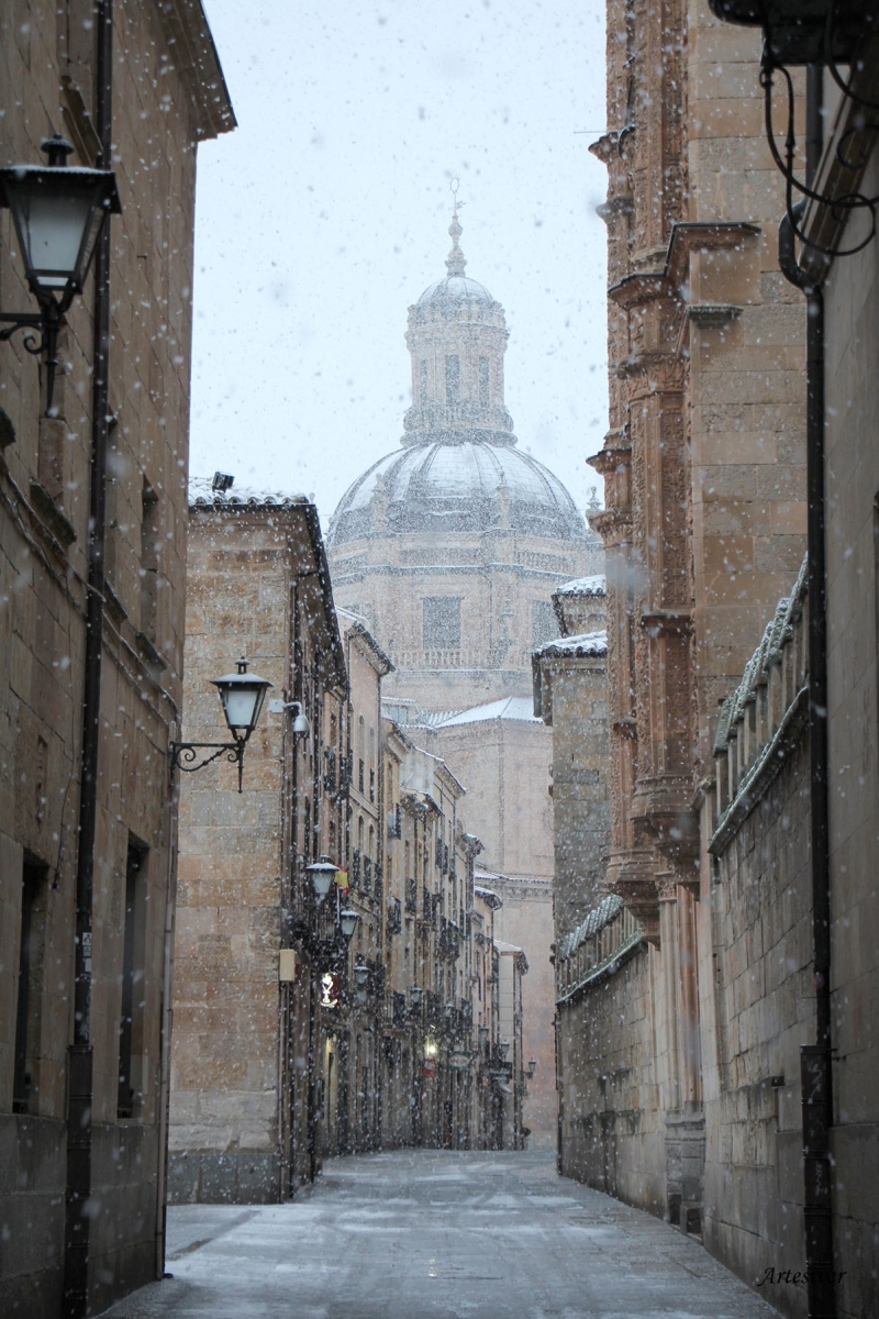 nieva