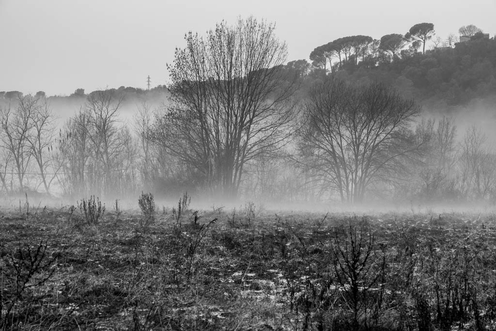 SUBE LA NIEBLA