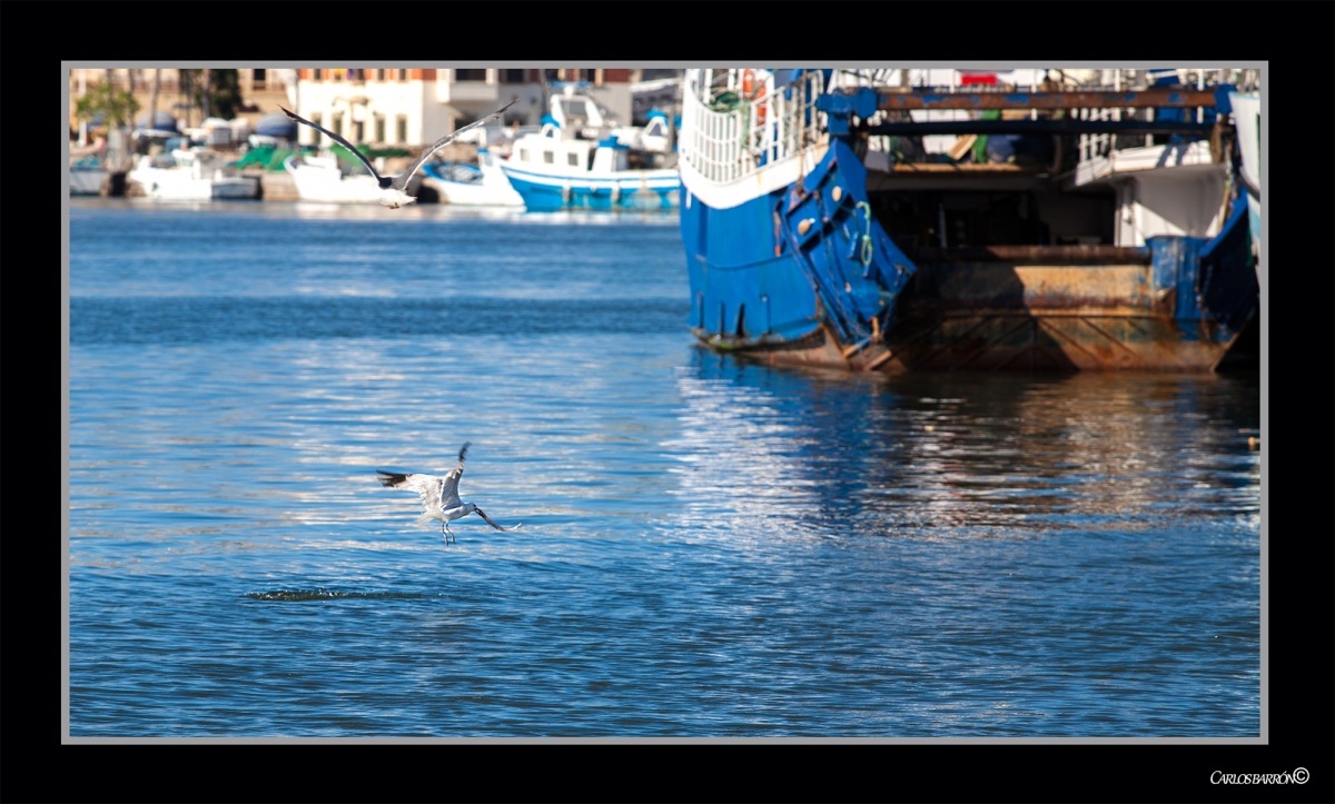 EL ARTE DE LA PESCA