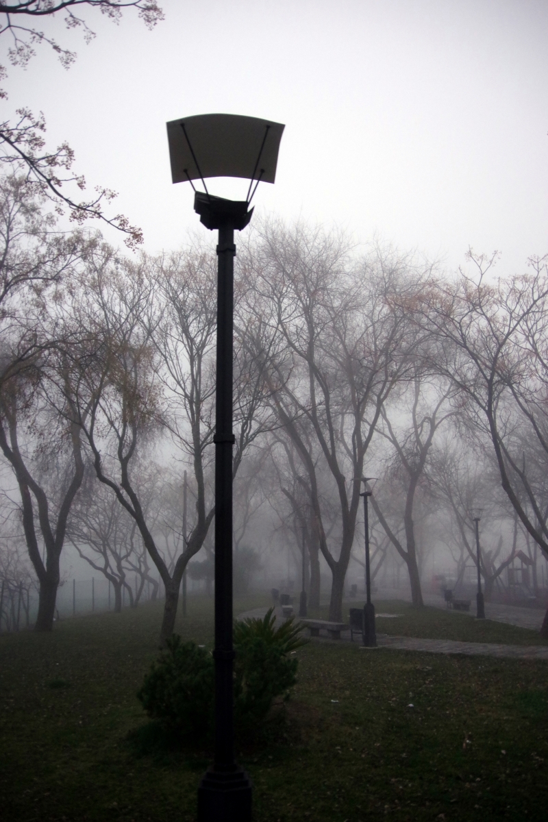 Tarde de niebla (I)