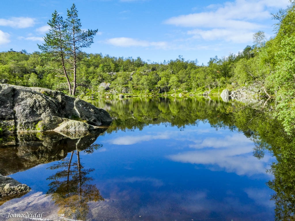 LYSEFJORD