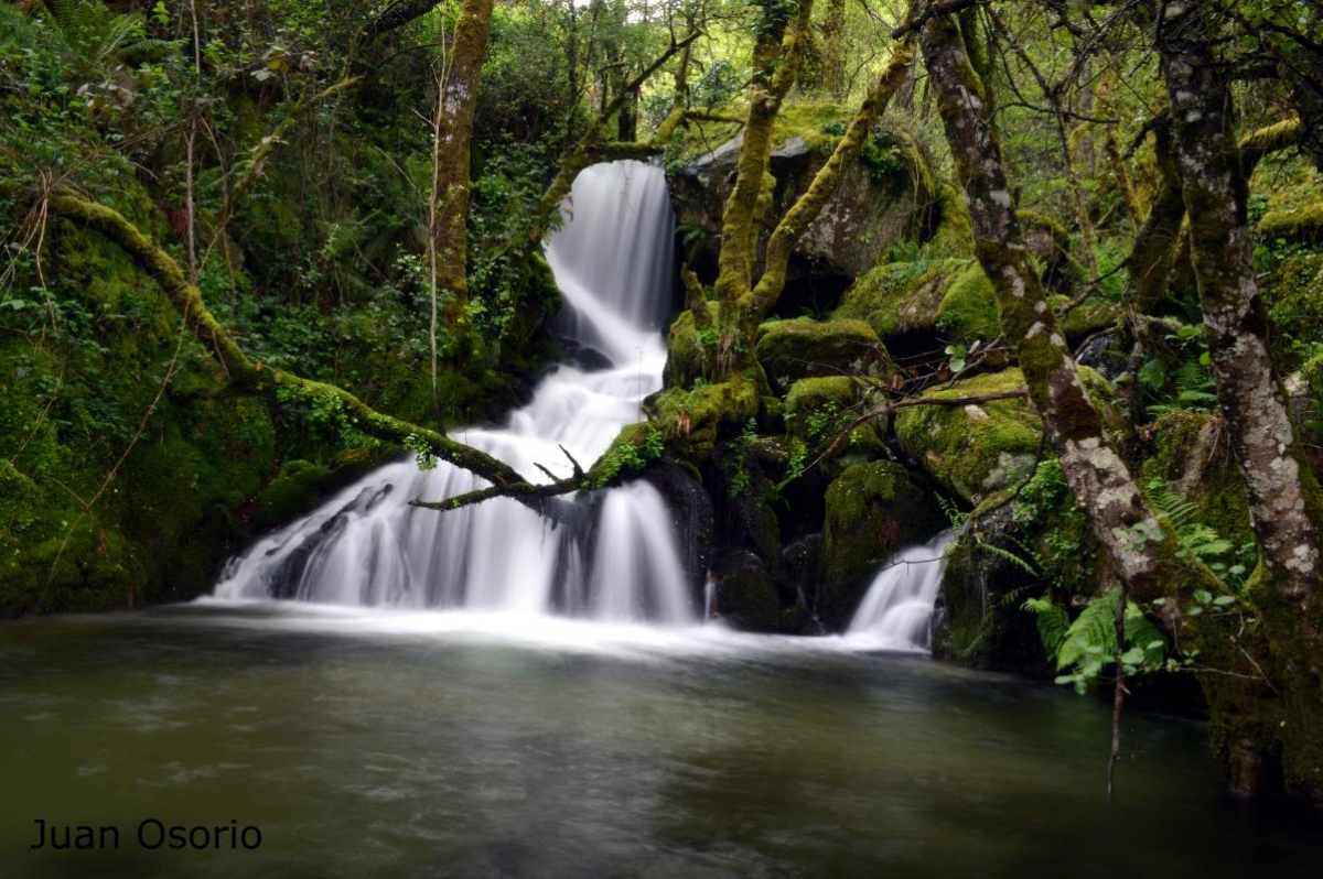 Ribeira Sacra: Regato (Nogueira de Ramun)