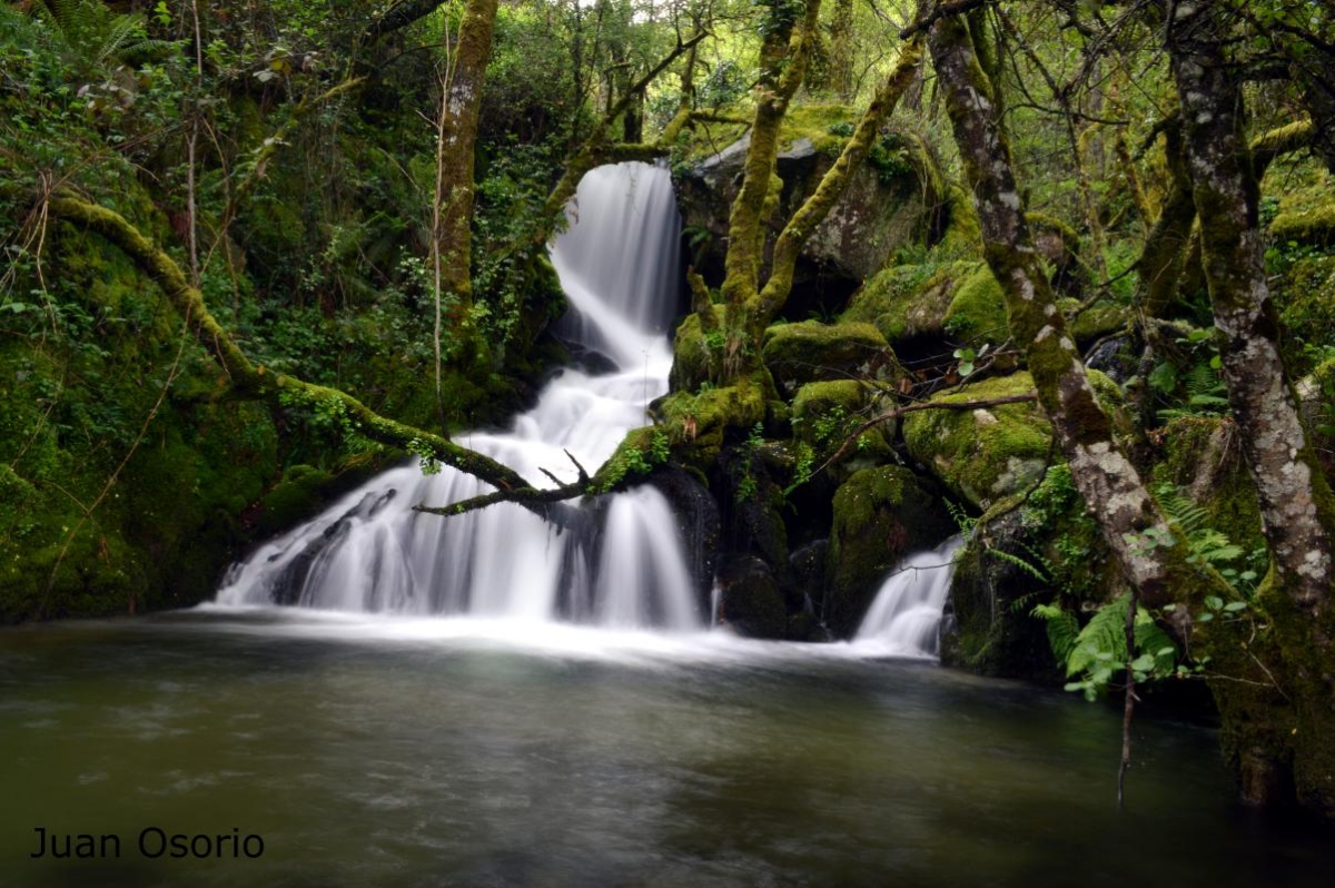 Ribeira Sacra: Regato