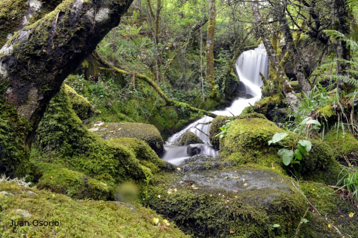 Ribeira Sacra: Regato (Nogueira de Ramun) Ourense, Galicia
