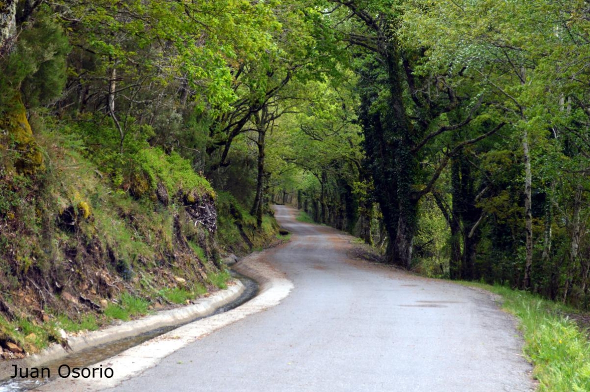 Ribeira Sacra:estrada de Parada do Sil a Nogueira de Ramun